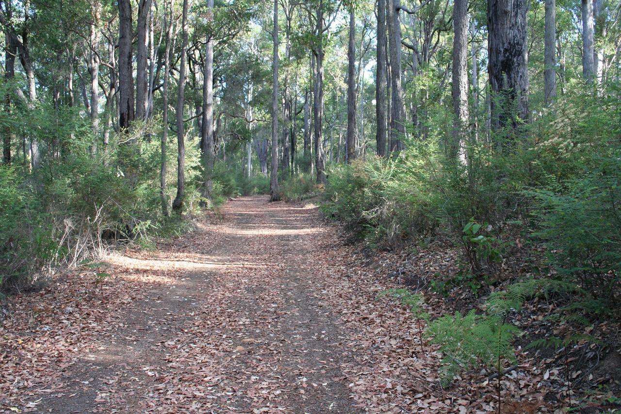 Wellington Forest Cottages Exteriör bild